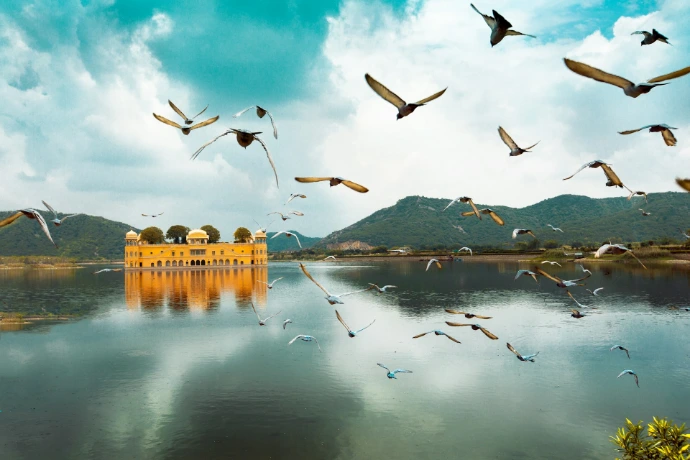 Lake with birds scenic nature India