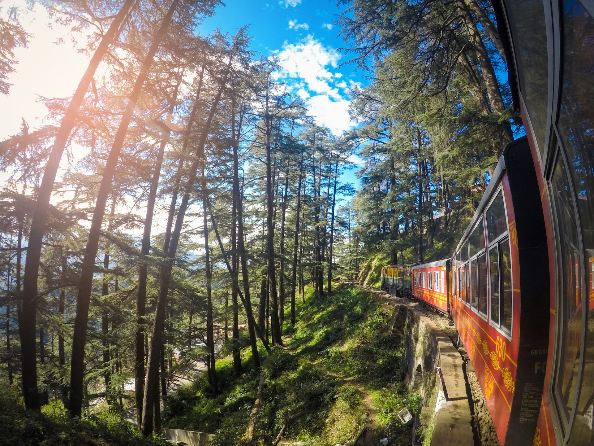 Forest sunlight trees hill station India