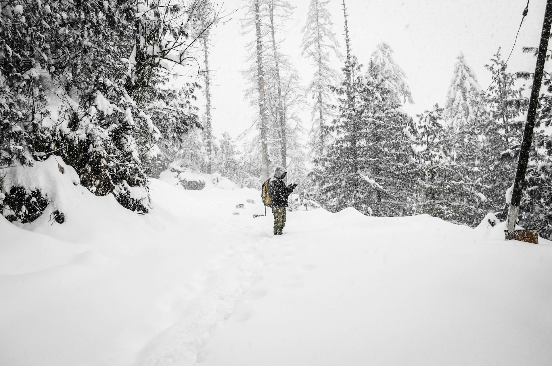 Snow forest romantic honeymoon scenery