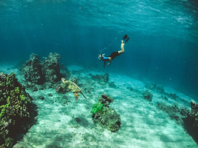 man diving in Bali ocean over coral reef
