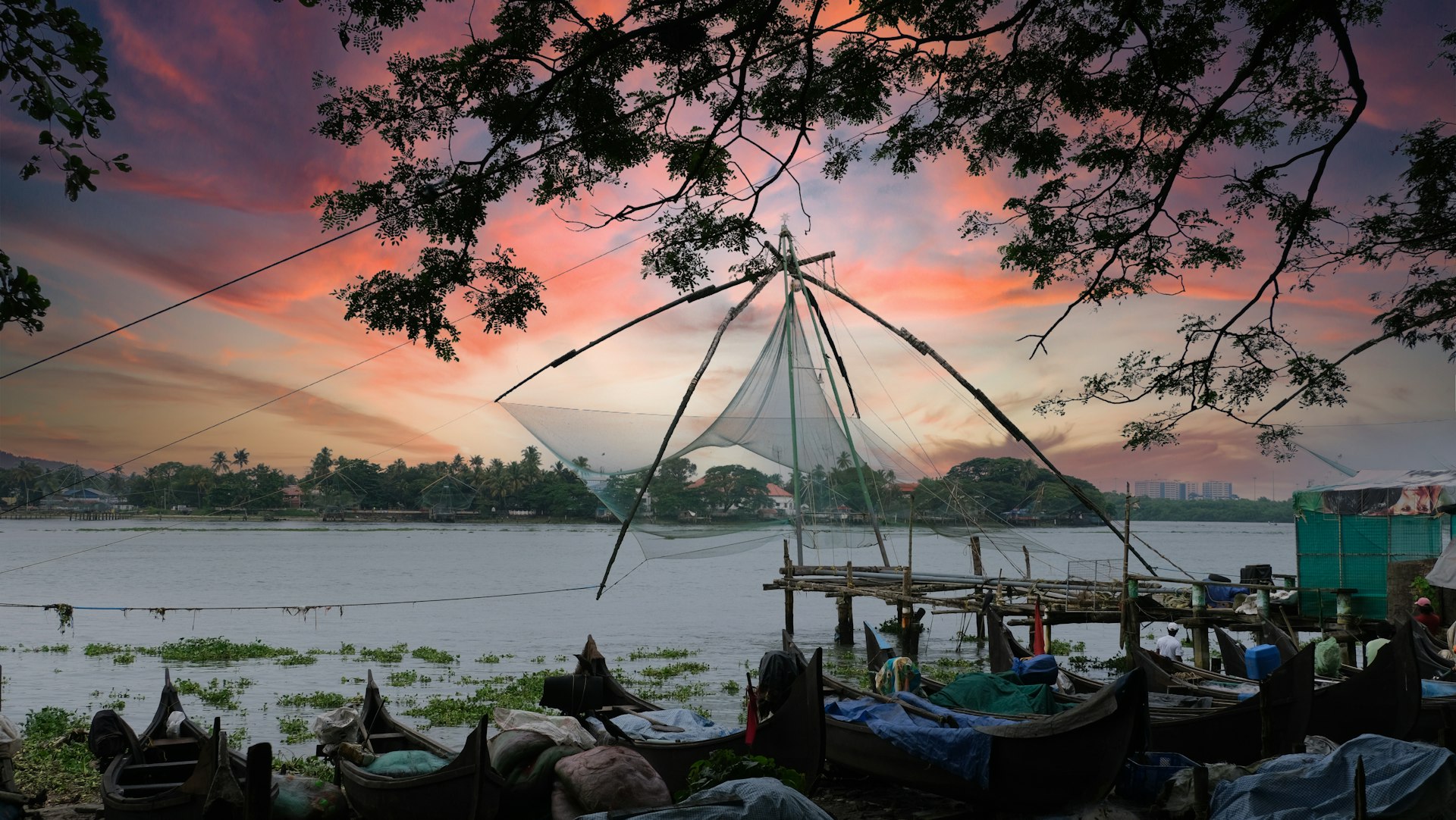 Sunset beach hammock relaxation India