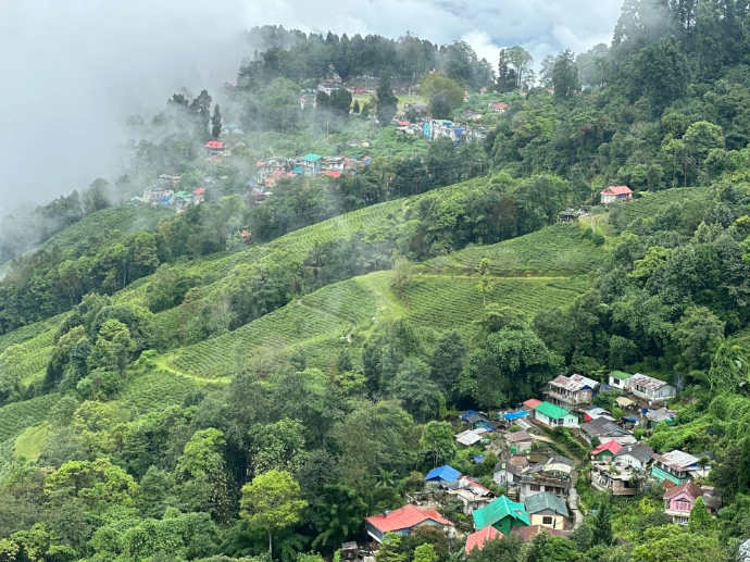 Munnar green hills tea plantations Kerala