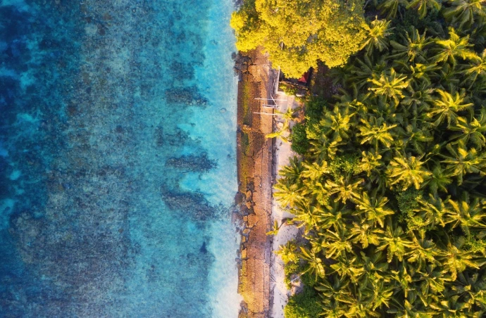 Bali beach honeymoon package Indonesia TripNest Holidays
