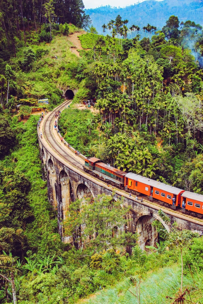 Scenic train journey hill country Sri Lanka tour package TripNest Holidays