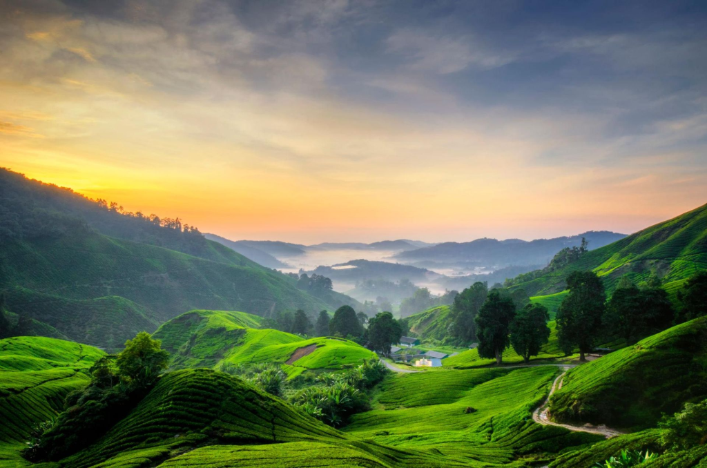 Malaysia rainforest mountains scenic view