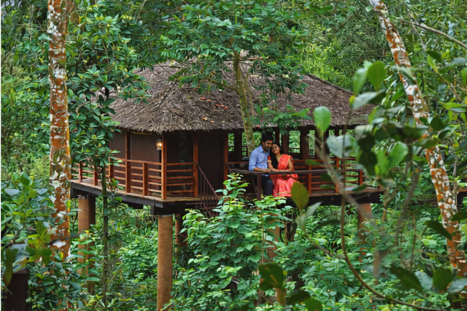 Jungle resort honeymoon nature stay