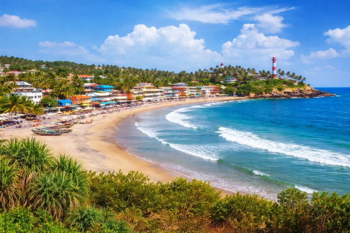 Kerala Kovalam beach coconut trees