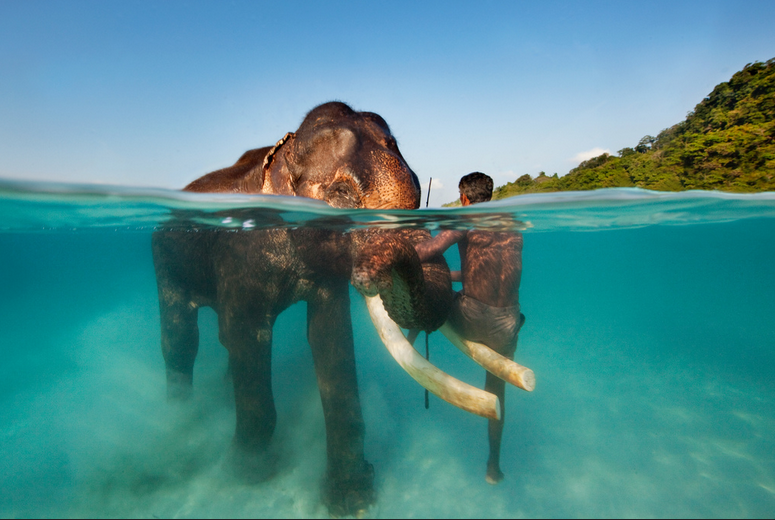 Person standing in clear water Andaman island