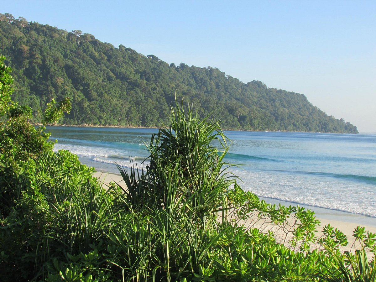 Andaman island aerial beach view